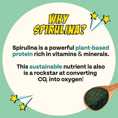 Show full view: Chippin Vegan Crunchy Veggie Dailies, Spirulina, Kale & Carrot Oven Baked Dog Treat, 5-oz bag slide 10 of 11