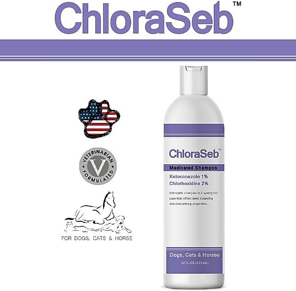 Show full view: ChloraSeb Antiseptic Dog Shampoo, 12-oz bottle slide 5 of 9