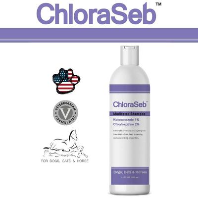 Show full view: ChloraSeb Antiseptic Dog Shampoo, 12-oz bottle slide 6 of 10