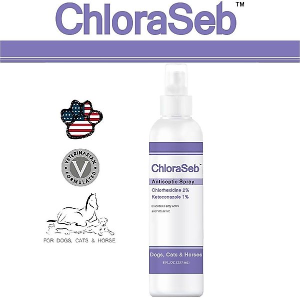 Show full view: ChloraSeb Antiseptic Spray for Dogs, 8-oz bottle slide 2 of 9