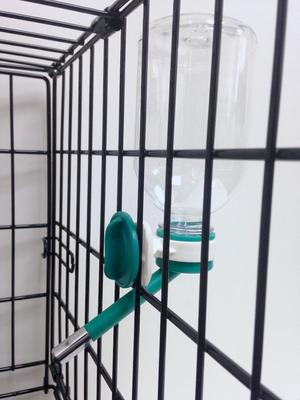 Show full view: Choco Nose No-Drip Small Animal Water Bottle, Color Varies, 10mm Nozzle, Long slide 5 of 9