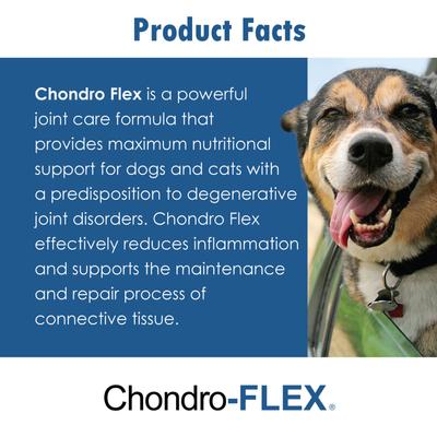Show full view: Chondro-FLEX Chewable Tablet Joint Supplement for Dogs & Cats, 180 count slide 5 of 11