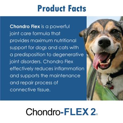 Show full view: Chondro-FLEX II Chewable Tablet Joint Supplement for Dogs & Cats, 120 count slide 5 of 11