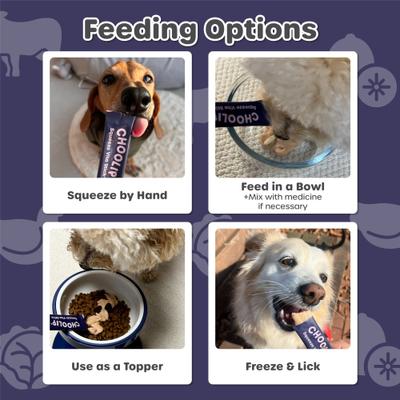 Show full view: Choolip Squeeze Vita Stick Brain Support Lickable Dog & Cat Treats, 3.7-oz pouch, 7 count slide 7 of 10