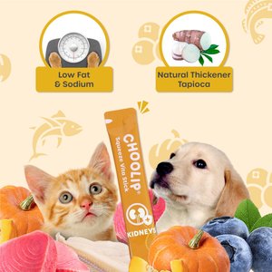 Choolip Squeeze Vita Stick Kidney Support Lickable Dog & Cat Treats, 3.7-oz pouch, 7 count