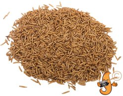 Chubby Mealworms Chubby Dried Black Soldier Fly Larvae Chicken Treats, 2-lb bag slide 2 of 4