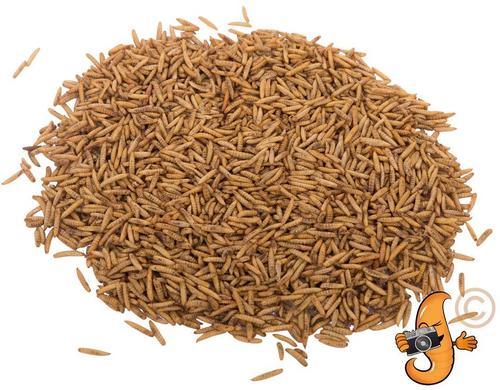 Show full view: Chubby Mealworms Chubby Dried Black Soldier Fly Larvae Chicken Treats, 2-lb bag slide 3 of 5