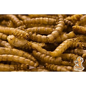 Chubby Mealworms Dried Mealworms, 2-lb bag