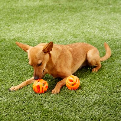 Show full view: Chuckit! Air Fetch Ball 2-Pack Dog Toy, Medium slide 3 of 7