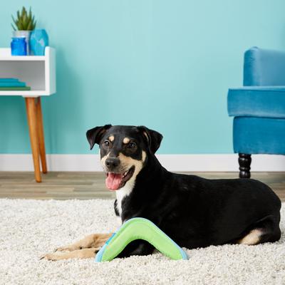 Show full view: Chuckit! Amphibious Boomerang Dog Toy, Color Varies, Medium slide 5 of 7