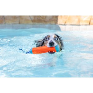 Chuckit! Amphibious Bumper Dog Toy, Color Varies, Medium