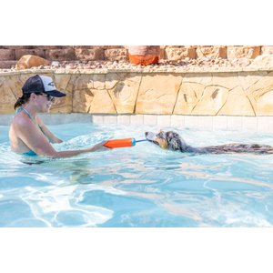 Chuckit! Amphibious Bumper Dog Toy, Color Varies, Medium