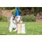 Show in main carousel: Chuckit! Birthday Fetch Ball Dog Chew Toy, Multi Color, Medium slide 4 of 6