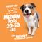 Show in main carousel: Chuckit! Bonze Crunch Turkey Drumstick Crinkle Dog Chew Toy, Orange, Medium slide 4 of 6