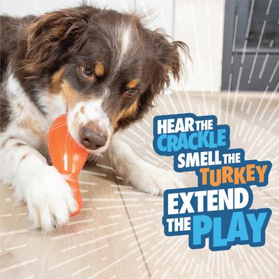 Show full view: Chuckit! Bonze Crunch Turkey Drumstick Crinkle Dog Chew Toy, Orange, Medium slide 2 of 6