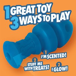 Chuckit! Bonze Salmon Crinkle Dog Chew Toy, Blue, Medium slide 2 of 6