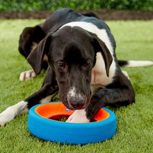 Chuckit! Fetch Wheel Dog Toy, Large
