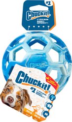 Chuckit! Hol-EE Roller Exercise Ball Dog Toy, Blue, Medium