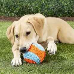Chuckit! Indoor Ball Dog Toy & Chuckit! Indoor Fumbler Dog Toy slide 2 of 4