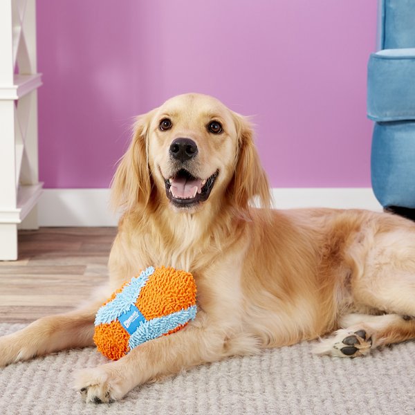 Show full view: Chuckit! Indoor Fumbler Dog Toy slide 3 of 7