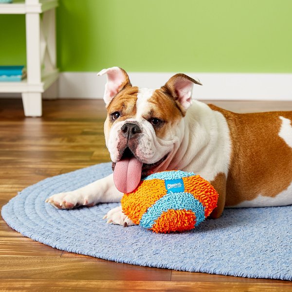 Show full view: Chuckit! Indoor Fumbler Dog Toy slide 4 of 7