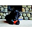 Show in main carousel: Chuckit! Indoor Shaker Dog Toy slide 4 of 7