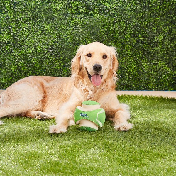 Chuckit! Kick Fetch Max Glow Dog Toy