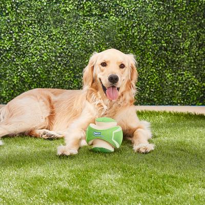 Show full view: Chuckit! Kick Fetch Max Glow Dog Toy, Small slide 6 of 10