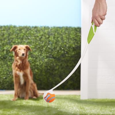 Show full view: Chuckit! Pro Launcher Dog Toy, Color Varies, 25M slide 2 of 10