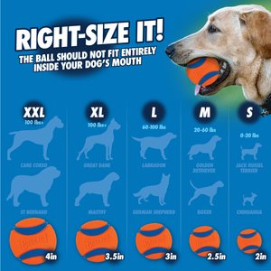 Chuckit! Pro Launcher Dog Toy, Color Varies, 26 X-Large