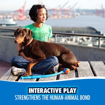 Show full view: Chuckit! Pro Launcher Dog Toy, Color Varies, 26 X-Large slide 6 of 11