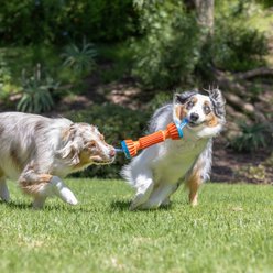 Chuckit! Rugged Bumper Dog Toy, Large slide 2 of 3