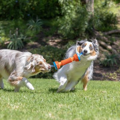 Show full view: Chuckit! Rugged Bumper Dog Toy, Large slide 2 of 5