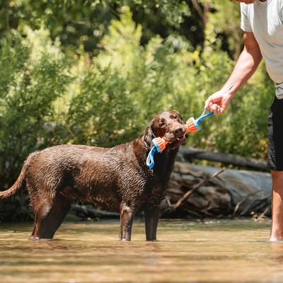 Show full view: Chuckit! Rugged Bumper Dog Toy, Large slide 3 of 5