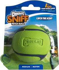 Chuckit! Sniff Fetch Ball Dog Toy, Medium