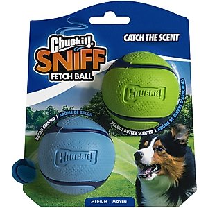 Chuckit! Sniff Fetch Balls Duo Dog Toy, Medium