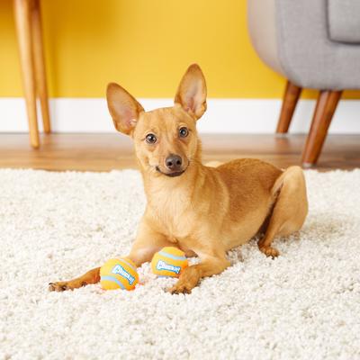 Show full view: Chuckit! Tennis Ball Dog Toy, Small, 2 pack slide 3 of 9