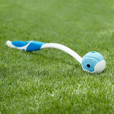 Show full view: Chuckit! The Whistler Ball Dog Toy, Color Varies, Medium slide 2 of 7