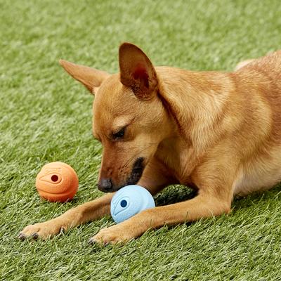 Show full view: Chuckit! The Whistler Ball Dog Toy, Color Varies, Small, 2 pack slide 3 of 9