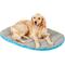 Show in main carousel: Chuckit! Travel Pillow Dog Bed slide 6 of 12