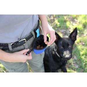 Chuckit! Treat Tote, Color Varies, Small