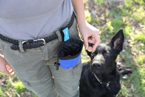 Show full view: Chuckit! Treat Tote, Color Varies, Small slide 4 of 7