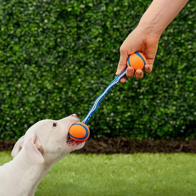 Show full view: Chuckit! Ultra Duo Tug Tough Dog Toy, Small slide 5 of 7
