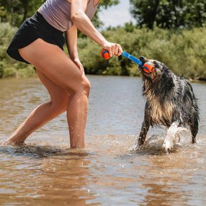 Chuckit! Ultra Duo Tug Tough Dog Toy, Small