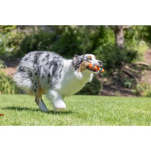 Chuckit! Ultra Fetch Stick Dog Toy