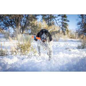Chuckit! Ultra Fetch Stick Dog Toy