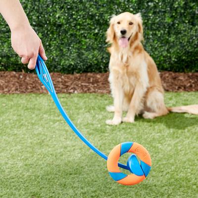 Show full view: Chuckit! Ultra Ring Launcher Fetch Dog Toy slide 4 of 9