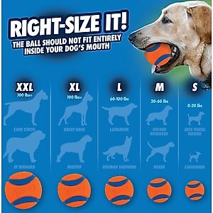 Chuckit! Ultra Rubber Ball Tough Dog Toy, Medium, 2 pack