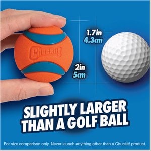 Chuckit! Ultra Rubber Ball Tough Dog Toy, Small, 2 pack
