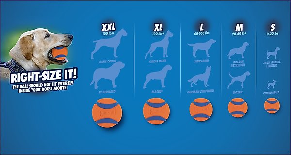 Show full view: Chuckit! Ultra Squeaker Ball Dog Toy slide 4 of 7
